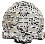 USAF Special Tactics Officer Beret Crest